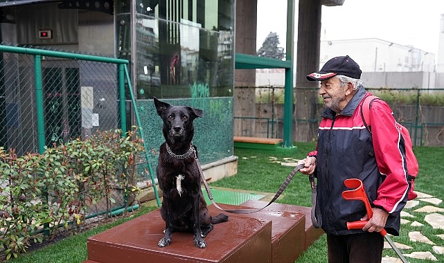 Maltepe&rsquo;de &ldquo;Pati Park&rdquo; a&ccedil;ıldı