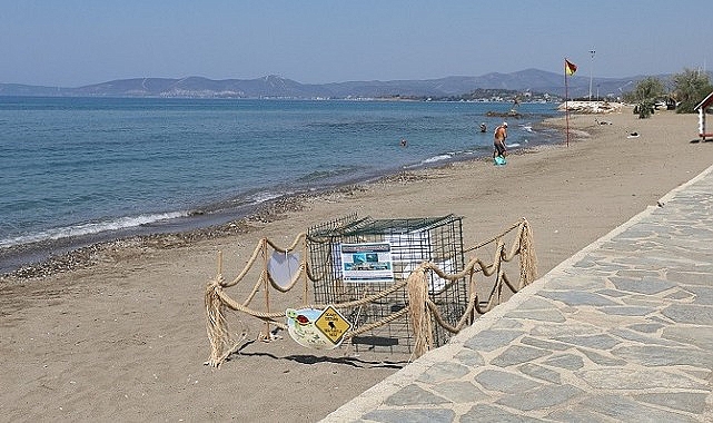 Menderes&rsquo;te Caretta Caretta Heyecanı