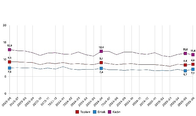 Mevsim etkisinden arındırılmış işsizlik oranı y&uuml;zde 8,6 seviyesinde ger&ccedil;ekleşti