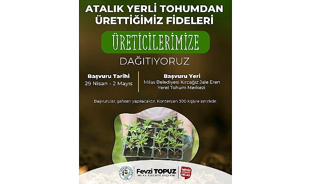 Milas Belediyesi Ata Tohumlarını Yaşatmak Amacıyla Sebze Fidesi Dağıtımı Ger&ccedil;ekleştirecek