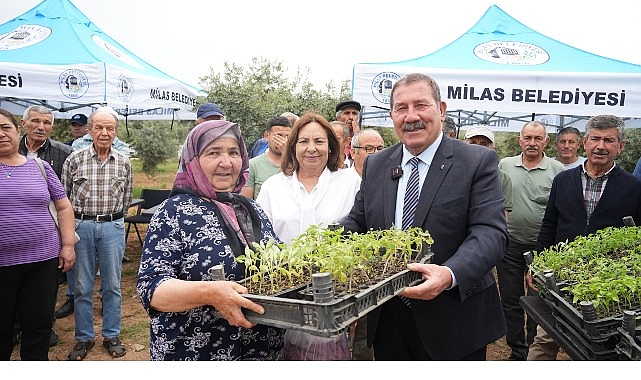Milas Belediyesi, ata tohumlarını yaşatmak i&ccedil;in &uuml;reticilere fide dağıtımı ger&ccedil;ekleştirdi