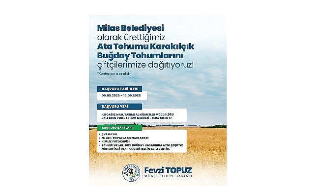 Milas Belediyesi&rsquo;nden &Uuml;reticilere Karakıl&ccedil;ık Buğday Tohumu Desteği