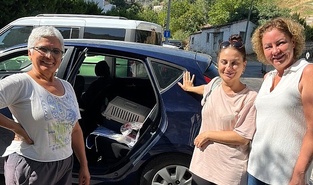 Narlıdere Belediyesi&rsquo;nden minik dostlar i&ccedil;in seferberlik