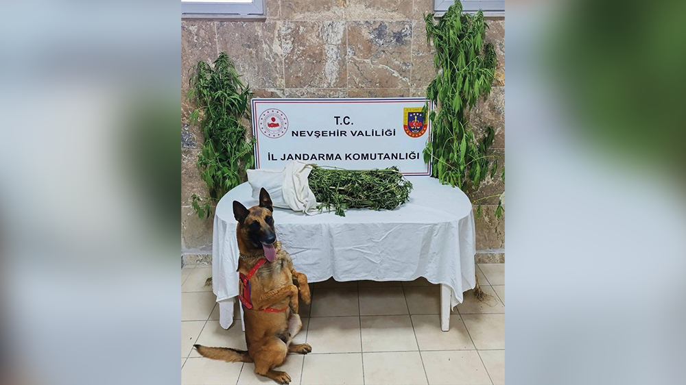 Nevşehir'de Jandarmanın Narkotik Operasyonu