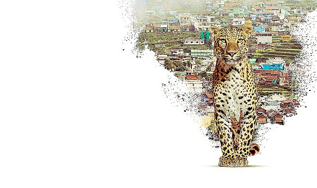 Nilgiri Dağlarını Keşfe &Ccedil;ıkaran   &lsquo;Nilgiris: Mavi Dağların Hikayesi&rsquo;,   22 Nisan &Ccedil;arşamba 20.00&rsquo;de   National Geographic WILD Ekranlarında!