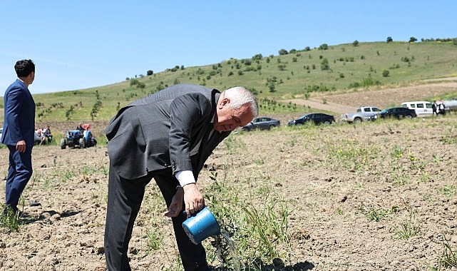 Nil&uuml;fer Belediyesi Konaklı&rsquo;ya 800 zeytin fidanı dikti