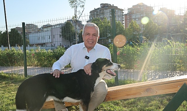 Nil&uuml;fer&rsquo;de can dostlar yeni yuvalarına kavuştu
