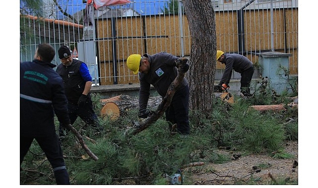 Osmangazi Belediyesi&rsquo;nden Lodosa Karşı Etkin M&uuml;dahale