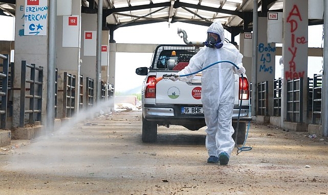 Osmangazi&rsquo;de Kurban Pazarları İla&ccedil;lanarak Dezenfekte Edildi