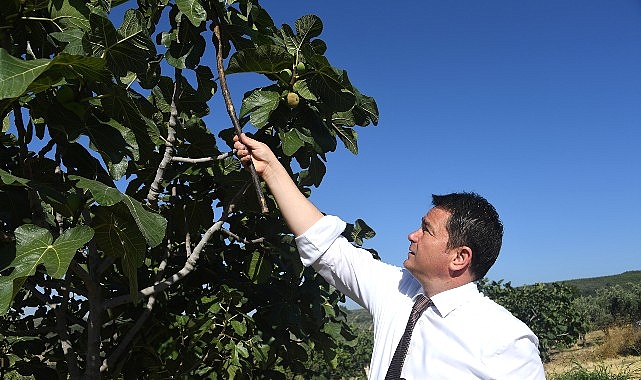 Osmangazi&rsquo;den d&uuml;nyaya a&ccedil;ılan lezzet &ldquo;Bursa Siyah İnciri&rdquo;