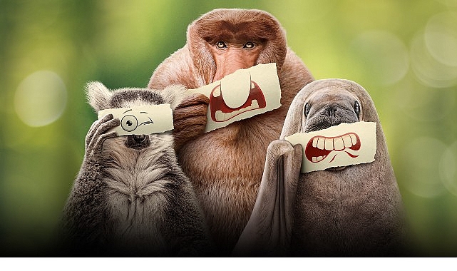 Ryan Reynolds&rsquo;ın Anlatımıyla &lsquo;&Ouml;tekiler&rsquo;, 21 Haziran Cumartesi 20.00&rsquo;de National Geographic WILD Ekranlarında İzleyicilerle Buluşuyor!