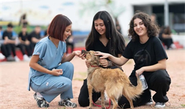 &ldquo;Sahipsiz hayvanlara k&ouml;t&uuml; muamele son bulsun&rdquo;