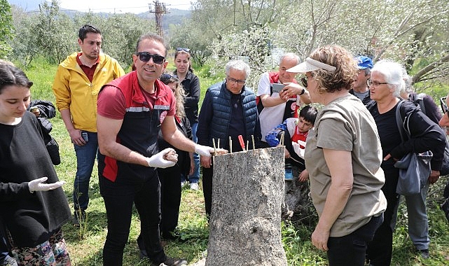 Seferihisar Belediyesi ve İl&ccedil;e Tarım&rsquo;dan M&uuml;d&uuml;rl&uuml;ğ&uuml;'nden Uygulamalı Eğitim