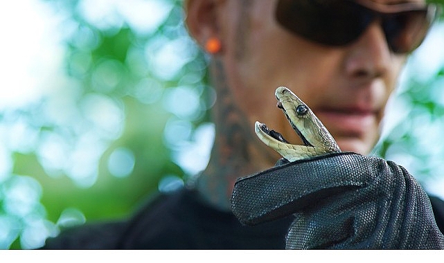 &lsquo;Şehirdeki Yılanlar: Zehrin &Ouml;tesi&rsquo;, 11 Temmuz Cuma 20.00&rsquo;de National Geographic WILD Ekranlarında!