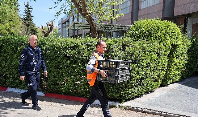 Şehirlerarası Otob&uuml;s Terminalinde usuls&uuml;z şekilde taşınan 300 civciv yakalandı