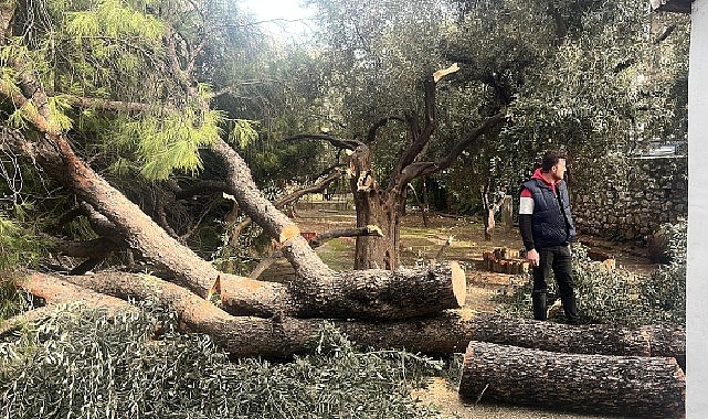 Şiddetli Fırtına Nedeniyle Yaşanan Olumsuz Durumlara Milas Belediyesi Anında M&uuml;dahale Etti