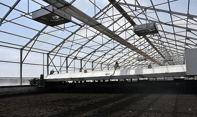 Solar &Ccedil;amur Kurutma Tesisi'nde 15 ton &ccedil;amur kurutuluyor