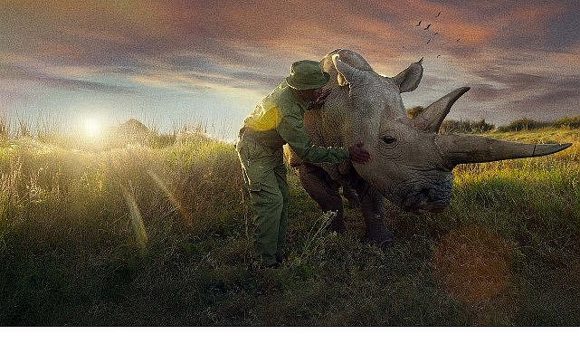 &lsquo;Son Gergedanlar: Yeni Bir Umut&rsquo;, 21 Eyl&uuml;l Pazar 20.00&rsquo;de National Geographic Ekranlarında!