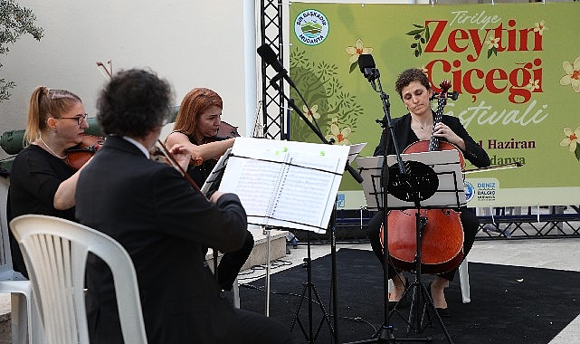 Tirilye&rsquo;de zeytinin &ccedil;i&ccedil;eği a&ccedil;tı, festival sokakları sardı