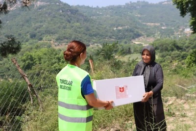 Toroslar'da Akdeniz Meyve Sineğiyle Sıkı M&uuml;cadele