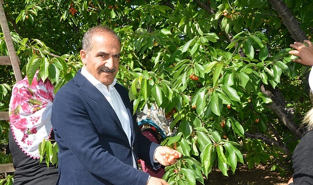 U&ccedil;ak; &ldquo;Don kirazı, kiraz ihracatı vurdu&rdquo;