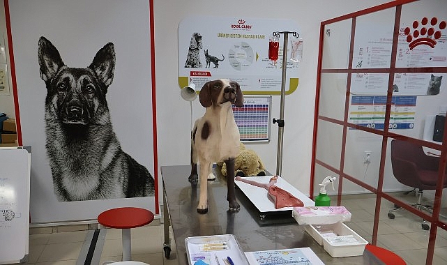 Uludağ &Uuml;niversitesi Klinik Beceri Laboratuvarı A&ccedil;ıldı