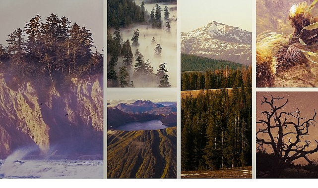 &lsquo;Ulusal Parklar: Amerika &Ouml;zel&rsquo;,   3 Mayıs Pazar Saat 20.00&rsquo;de  National Geographic WILD Ekranlarında İzleyicilerle Buluşuyor!