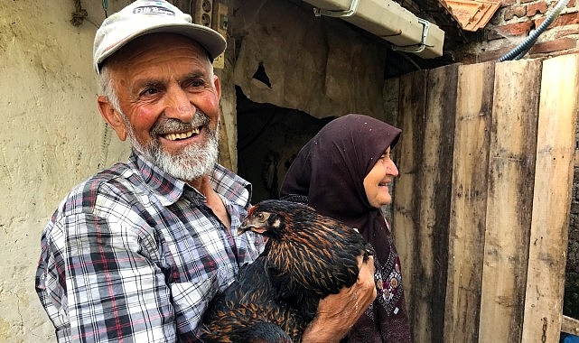 &Uuml;reticiye y&uuml;zde 50 hibeli yumurta tavuğu desteği