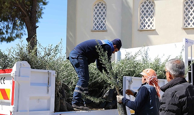 Urla&rsquo;da zeytin seferberliği 20 mahalleye fidan desteği