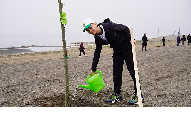 Yeni Yaşam Alanında &Ccedil;ınar Ağa&ccedil;ları Y&uuml;kselecek