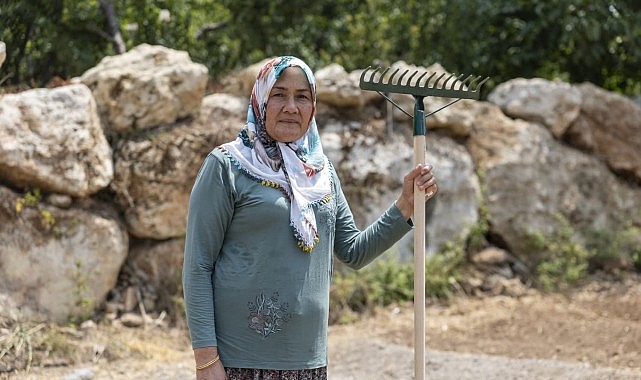 Yenişehir Belediyesinin desteğiyle safran &uuml;reticisi sayısı artıyor