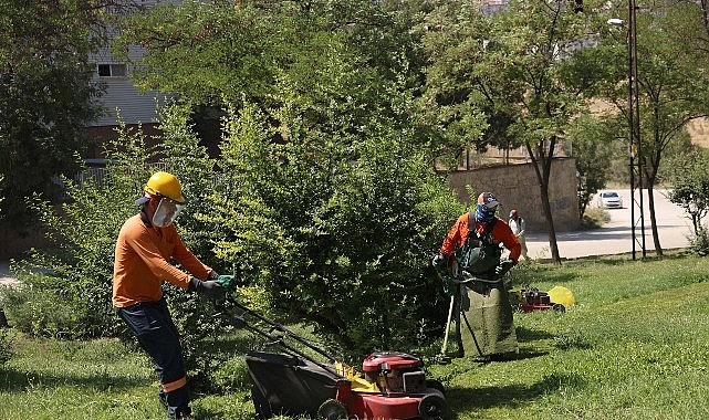 Yeşil Bir &Ccedil;ankaya İ&ccedil;in Parklarda Bakım Yapılıyor