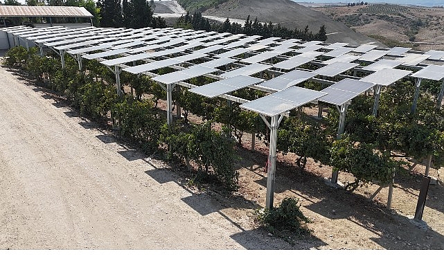 Y&uuml;zde 60 eğimli arazide  ilk g&uuml;neş enerjisi santrali Adana&rsquo;da