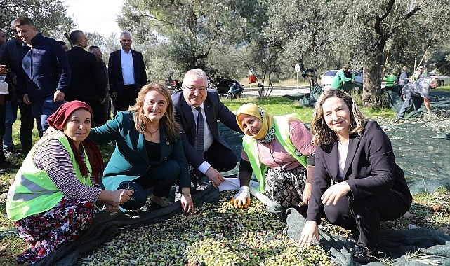 Zeytinin Başkenti Edremit&rsquo;te MECİ Şenliği başlıyor
